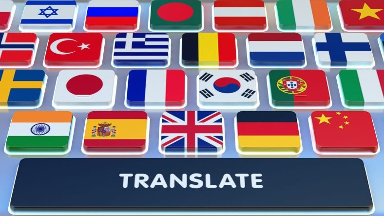 Tercümanlık muhasebe programi
